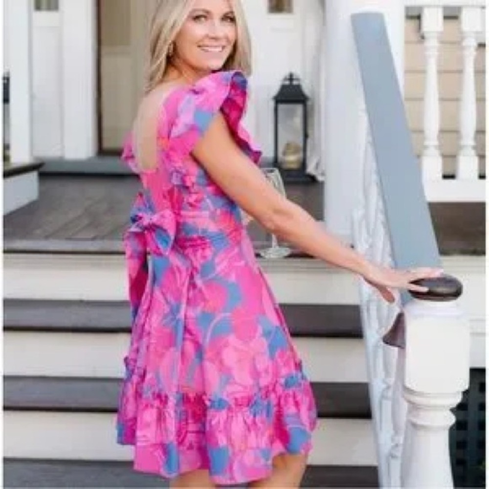 Tuckernuck Cameron Eubanks Wimberly Wild Azalea‎ Edisto Linen Dress NWT size XXS - Picture 3 of 5